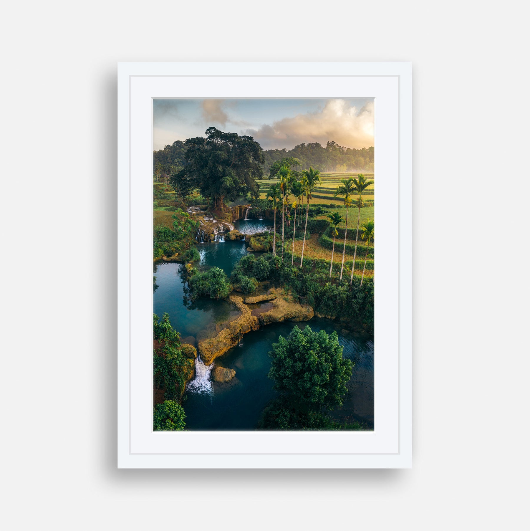 collections/EmSpar0016_Natural.jpg